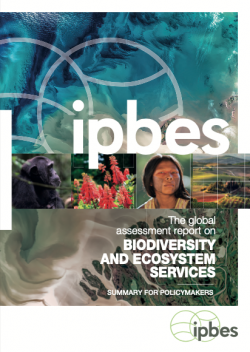 Global Assessment Report on Biodiversity and Ecosystem Services (IPBES)