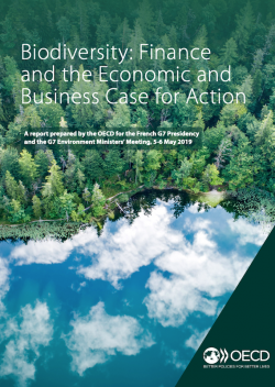 Biodiversity: Finance and the Economic and Business Case for Action, OECD